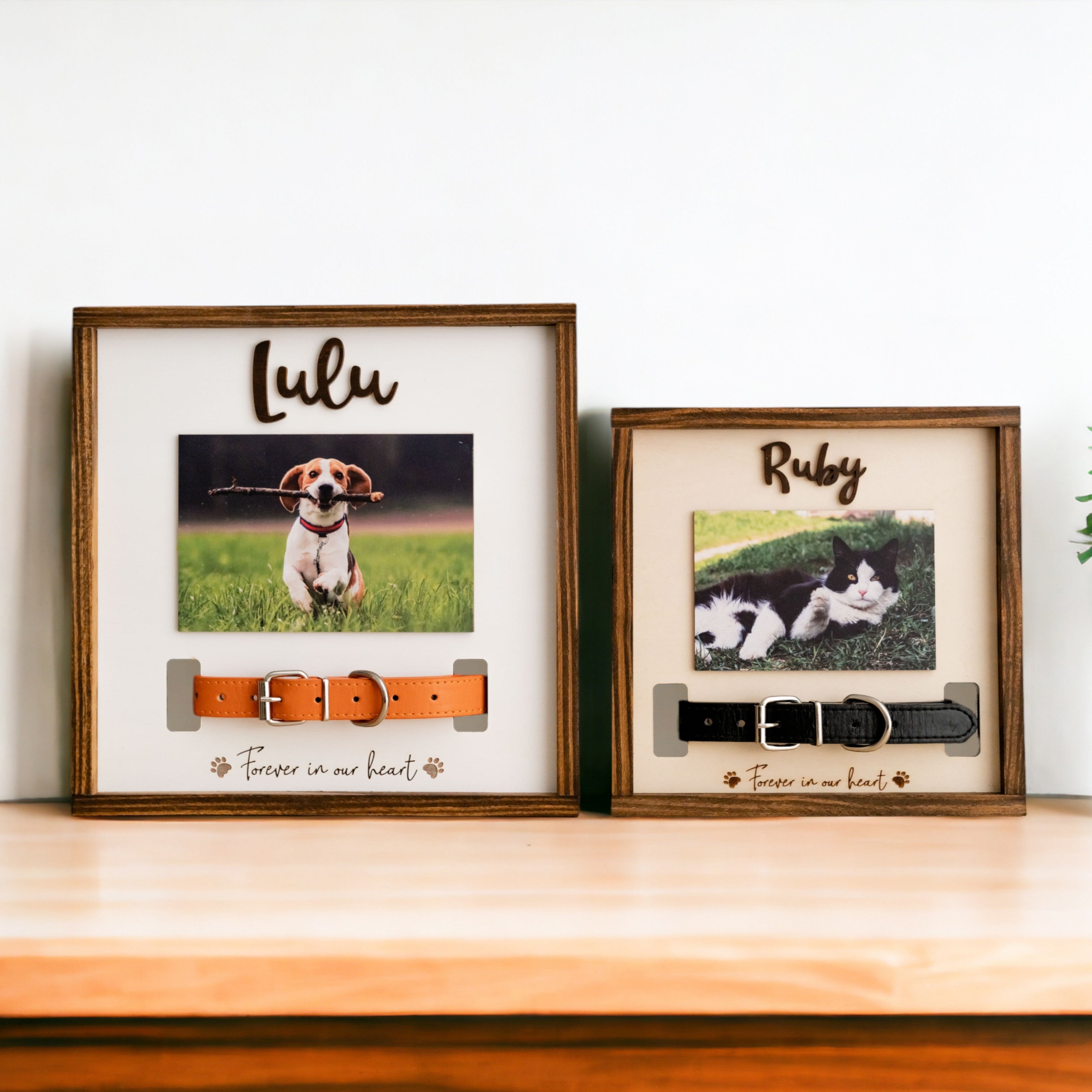 Boho Inspired Pet Memorial Photo Plaque for Home Decor