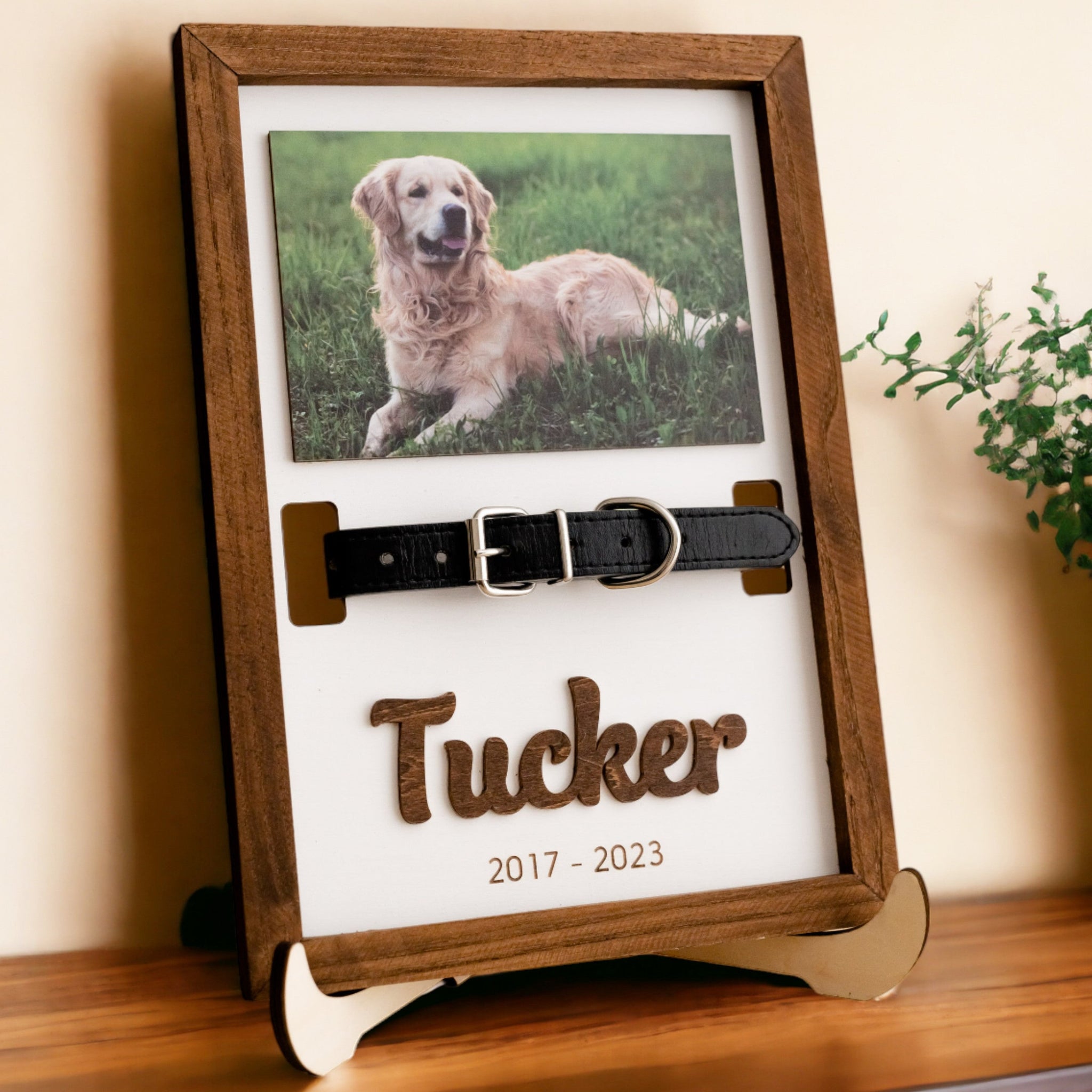 Boho Chic Pet Memorial Photo Sign for Stylish Home Decor
