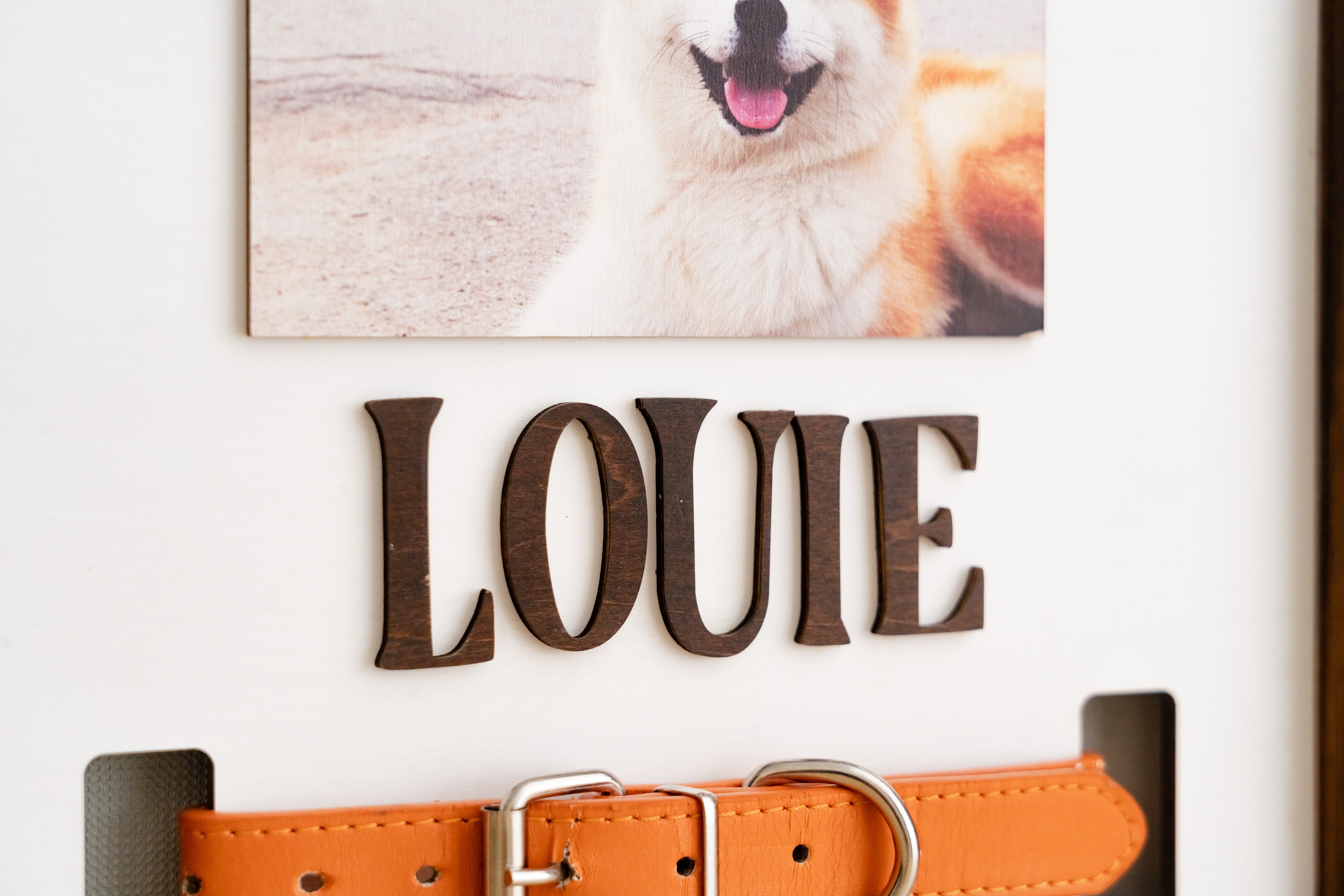 Boho and Rustic Pet Memorial Photo Frame