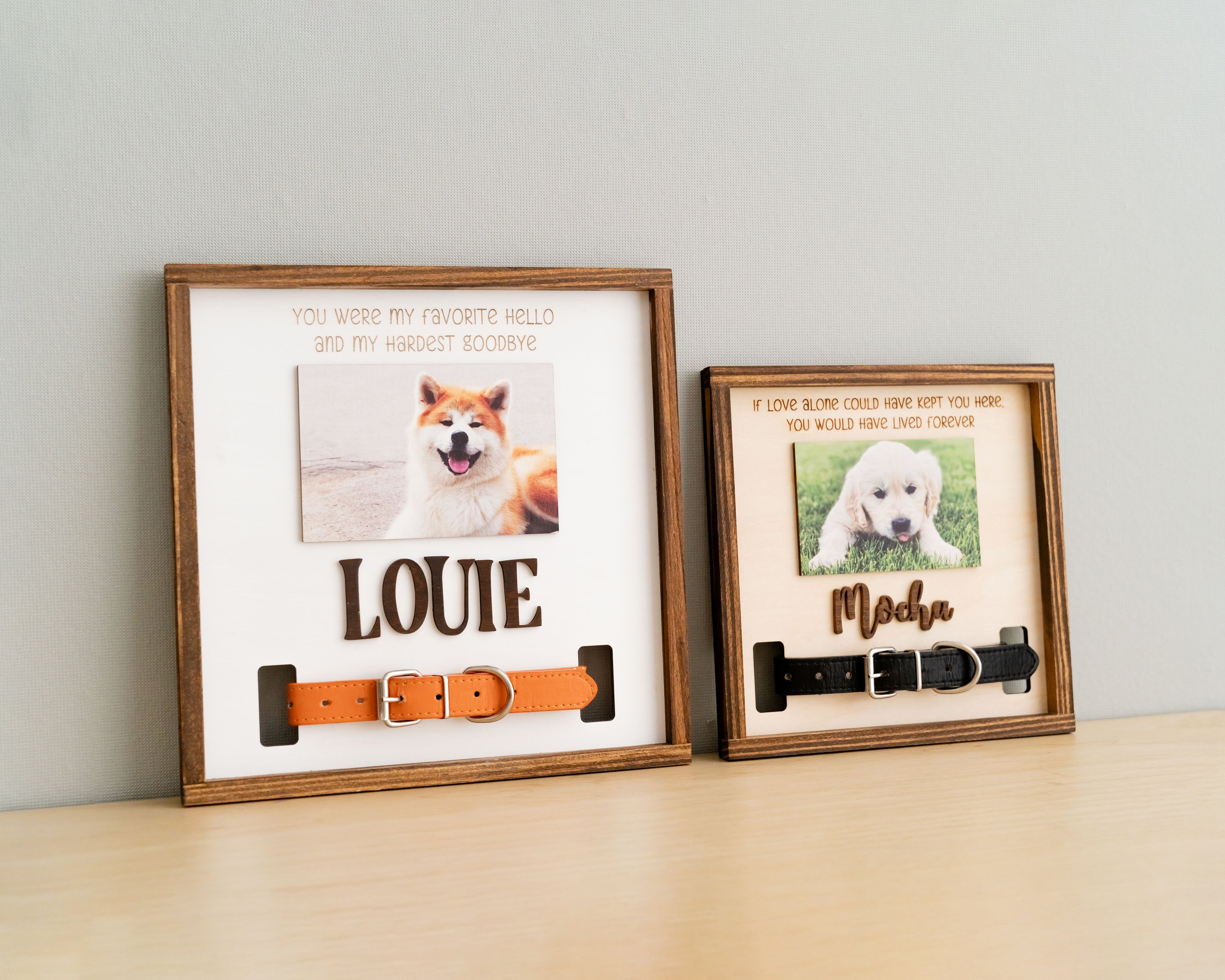 Pet Memorial Photo Sign for Boho & Rustic Home Decor