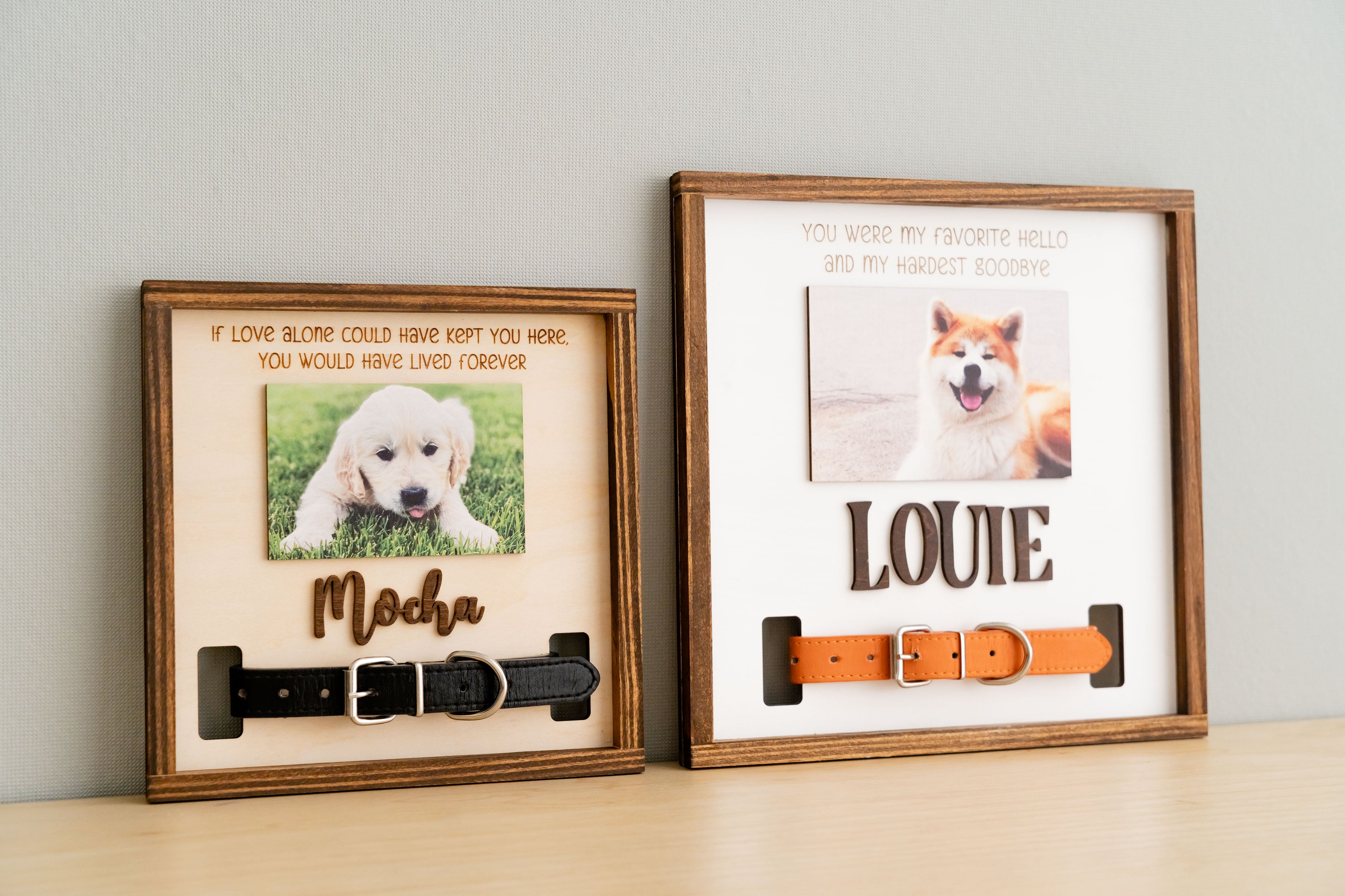 Pet Memorial Photo Sign for Boho & Rustic Home Decor