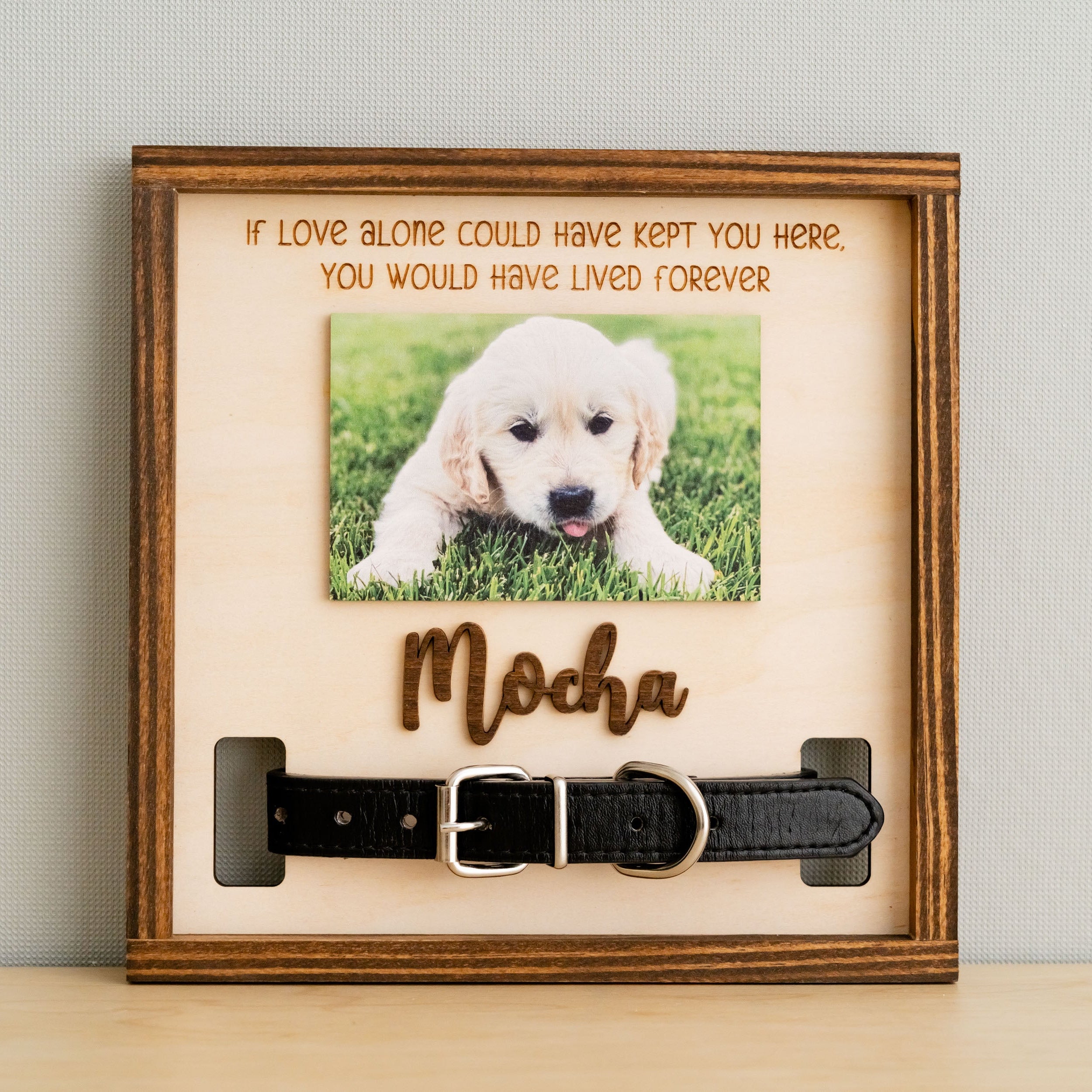 Boho and Rustic Pet Memorial Photo Sign for Heartfelt Home Decor R06