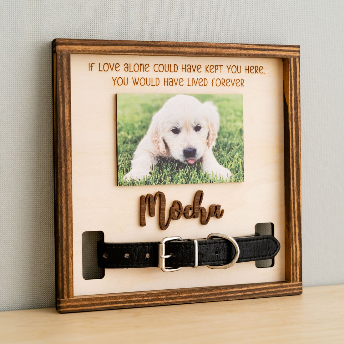 Boho and Rustic Pet Memorial Photo Sign for Heartfelt Home Decor R06