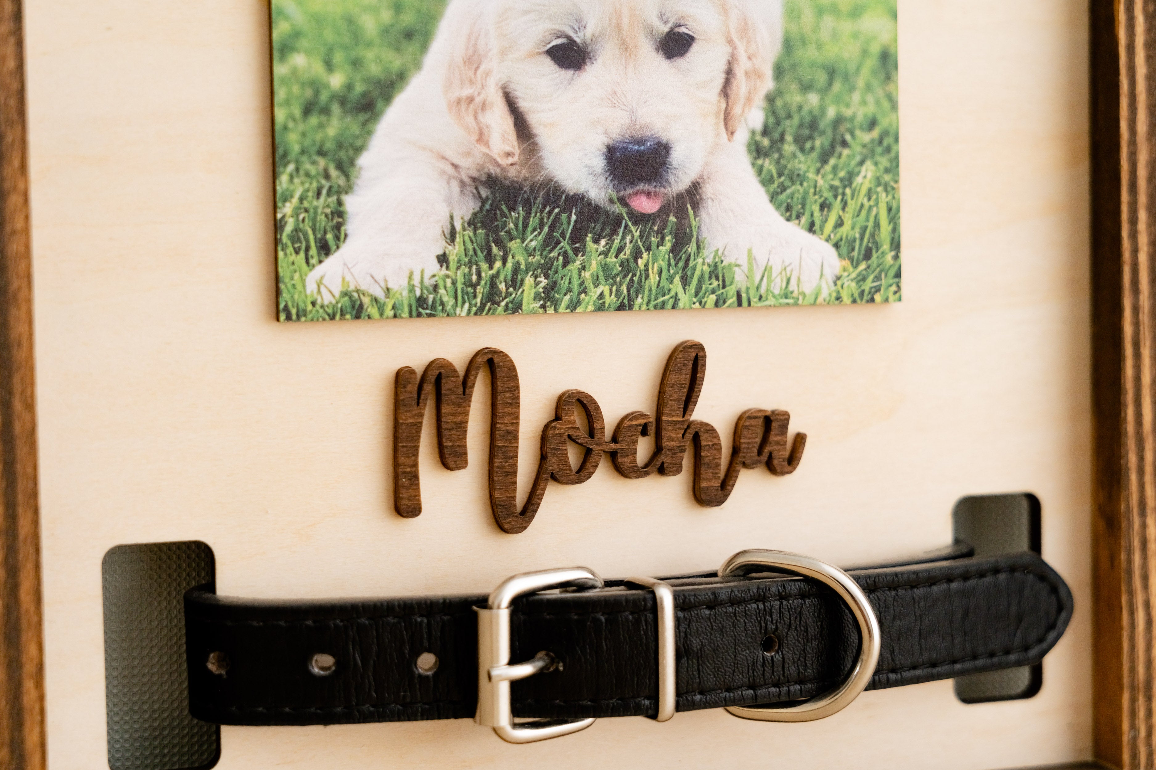 Pet Memorial Photo Sign for Boho & Rustic Home Decor