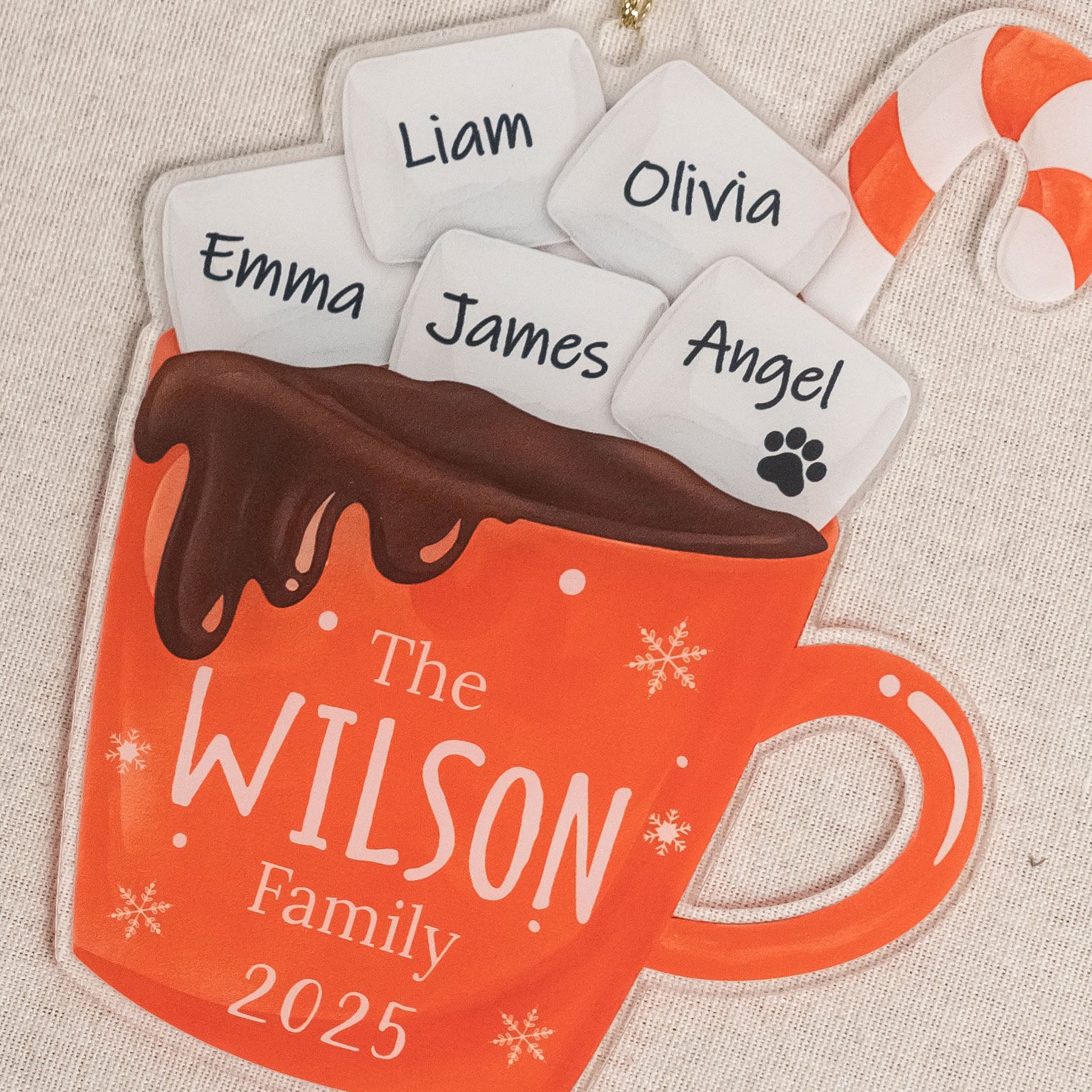 Personalized Family Hot Cocoa Ornament Acrylic Personalized Christmas Ornament for Family Name Ornament D42