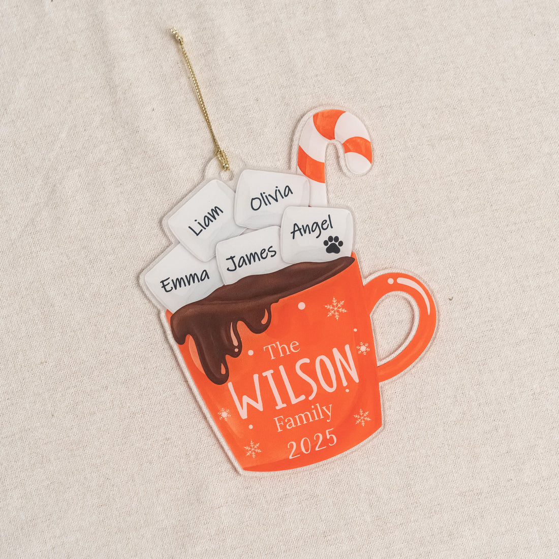 Personalized Family Hot Cocoa Ornament Acrylic Personalized Christmas Ornament for Family Name Ornament D42