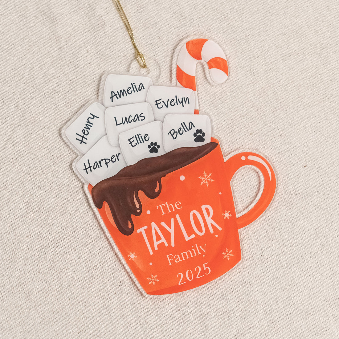 Personalized Family Hot Cocoa Ornament Custom Acrylic Christmas Tree Ornament and Family Name Ornament D42