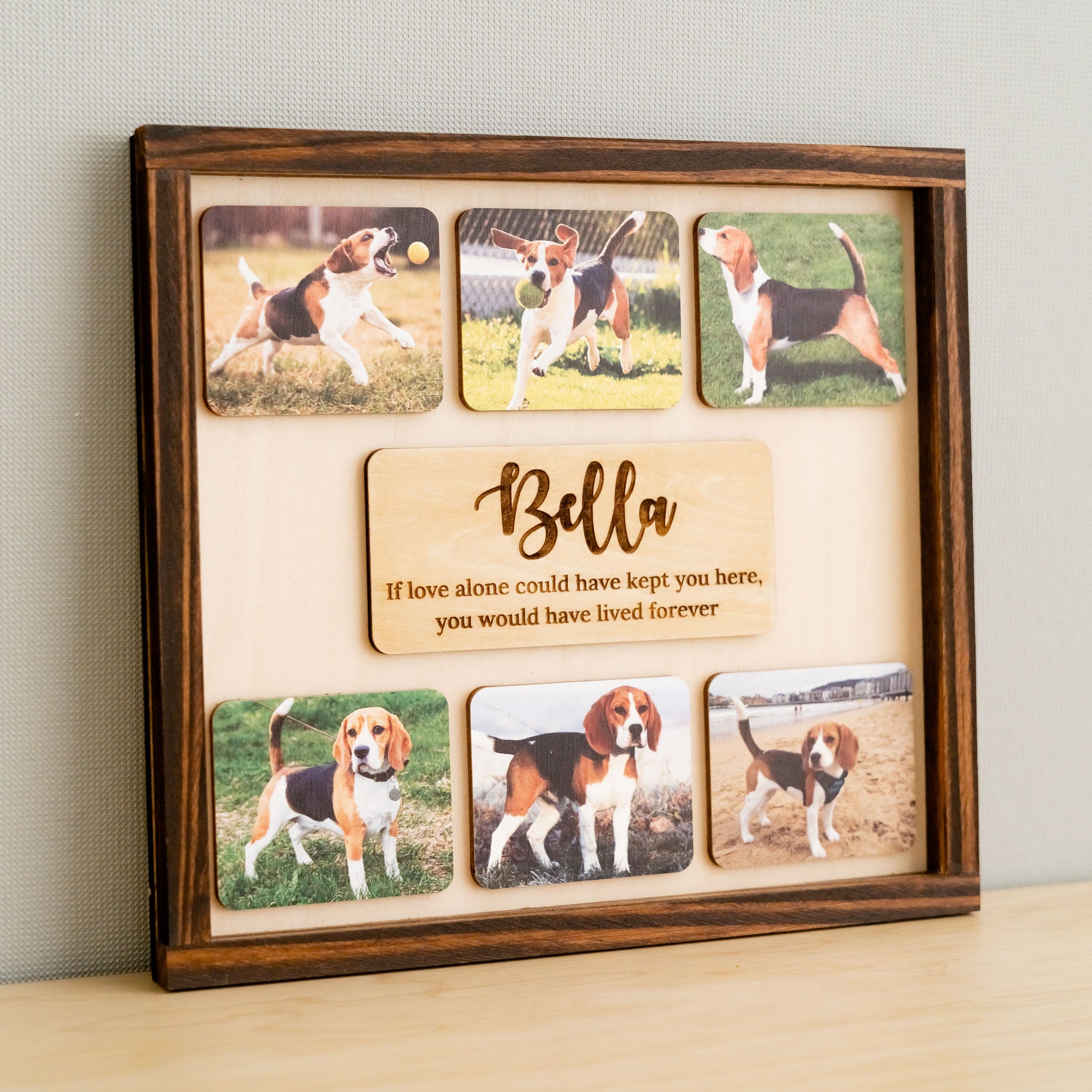 Pet Memorial Photo Sign for Boho, Minimalist Remembrance R20
