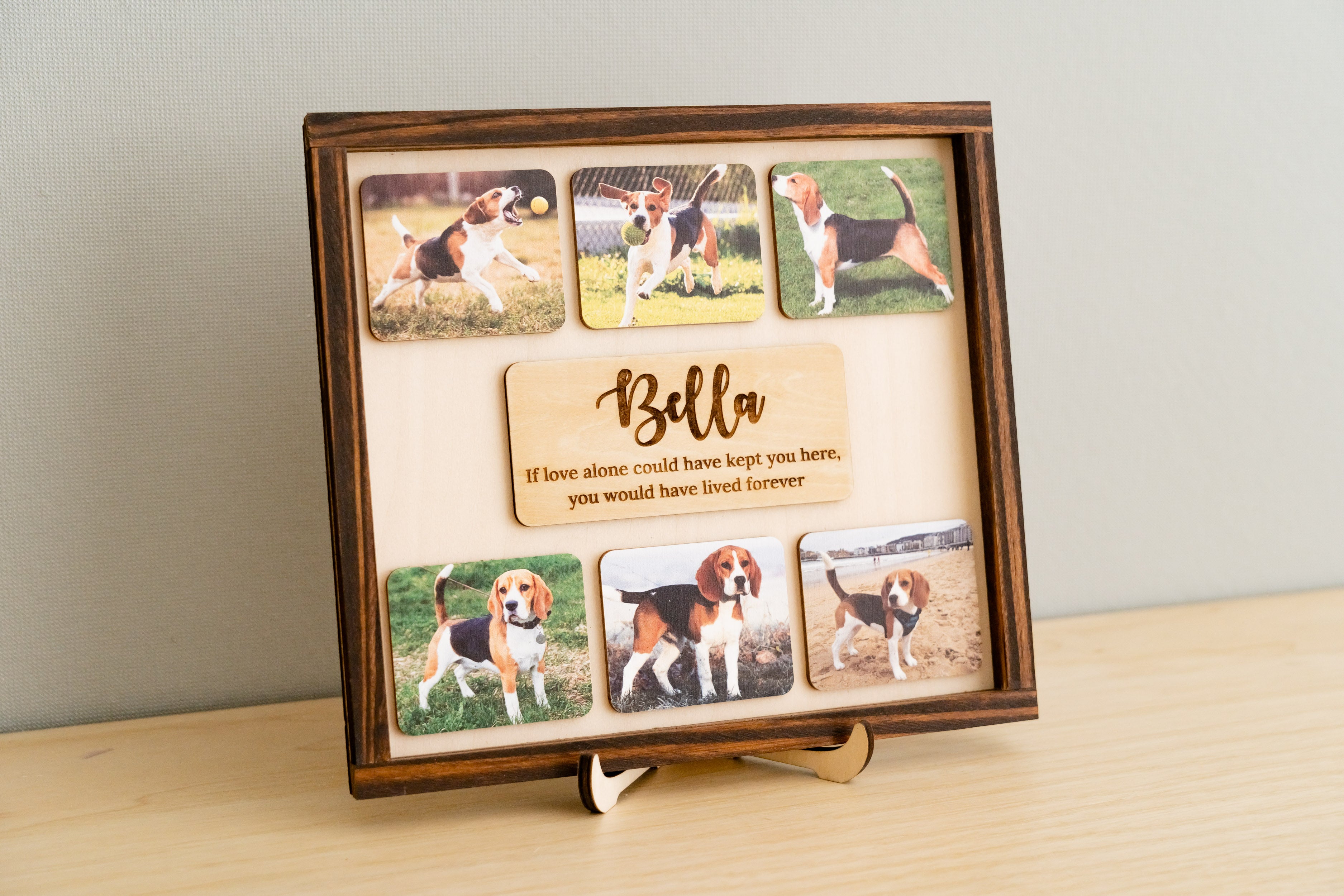 Pet Memorial Photo Sign for Boho, Minimalist Remembrance
