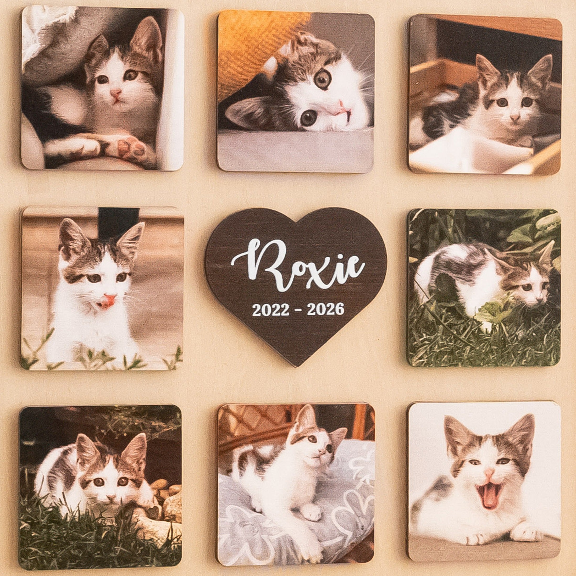Personalized Pet Memorial Photo Wood Sign Memorial Keepsake B23