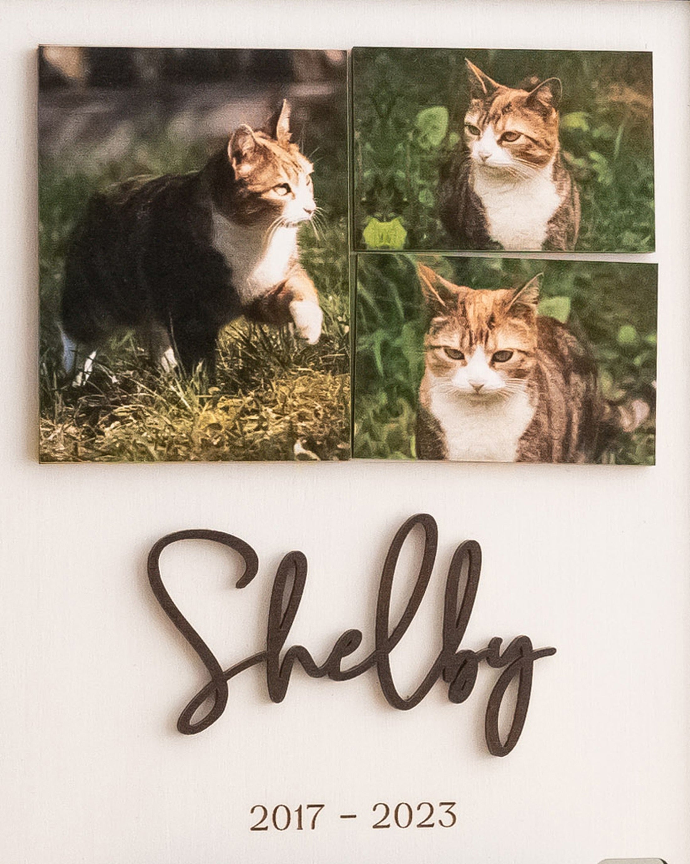 Personalized Pet Memorial Photo Wood Sign Pet Memorial Gift B20