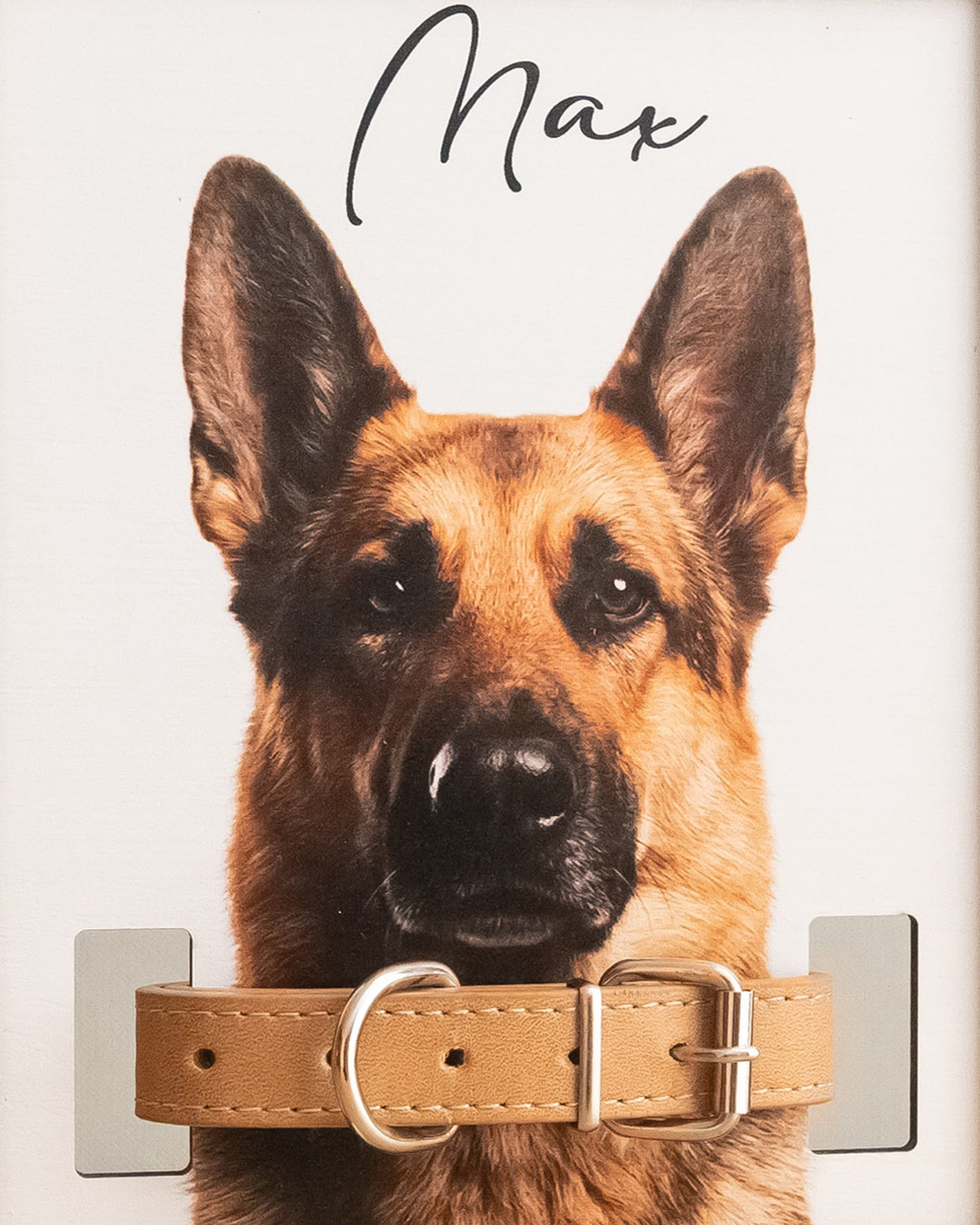 Personalized Pet Memorial Photo Wood Sign Dog Memorial Gift B21