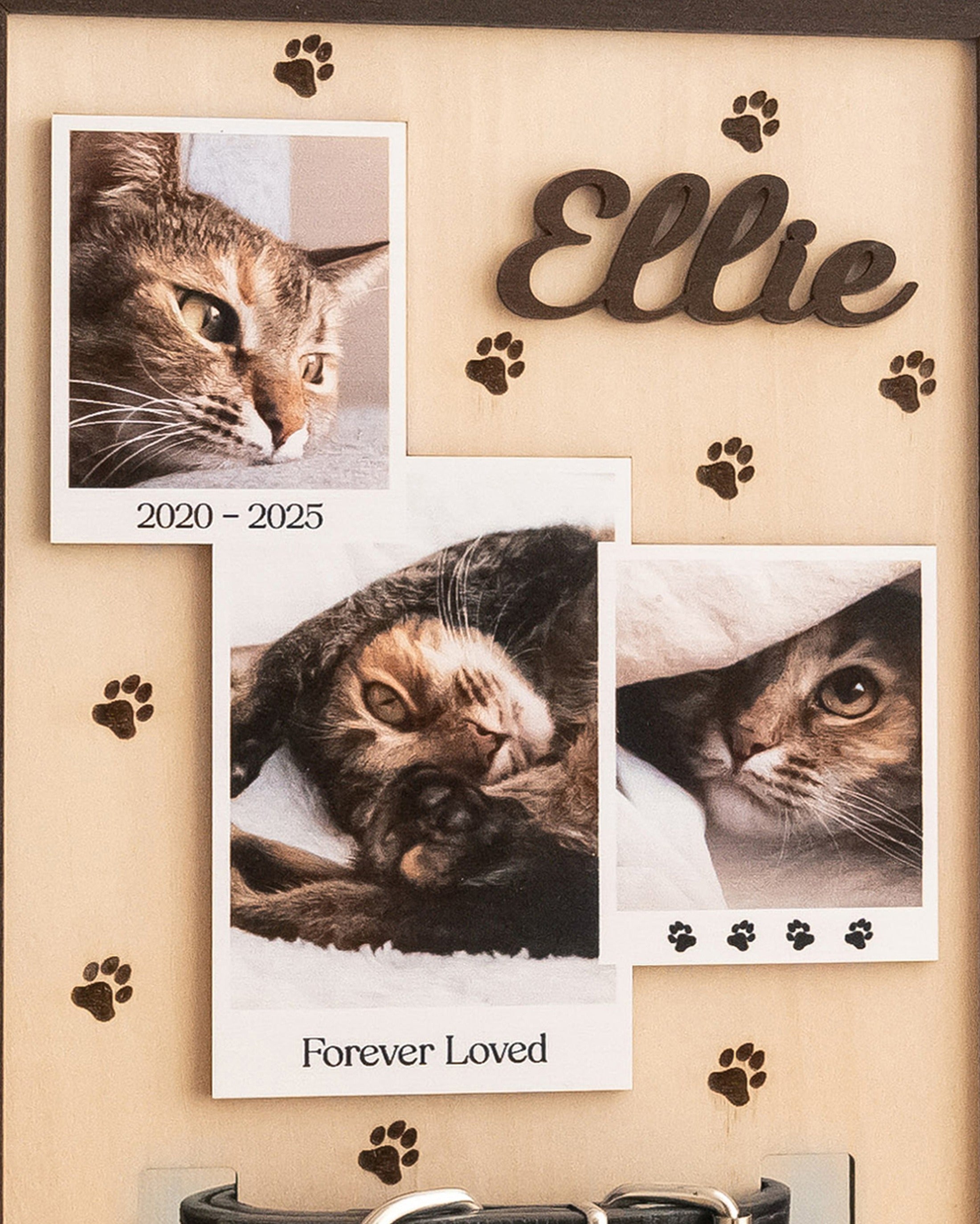 Personalized Pet Memorial Photo Wood Sign for Pet Remembrance B22