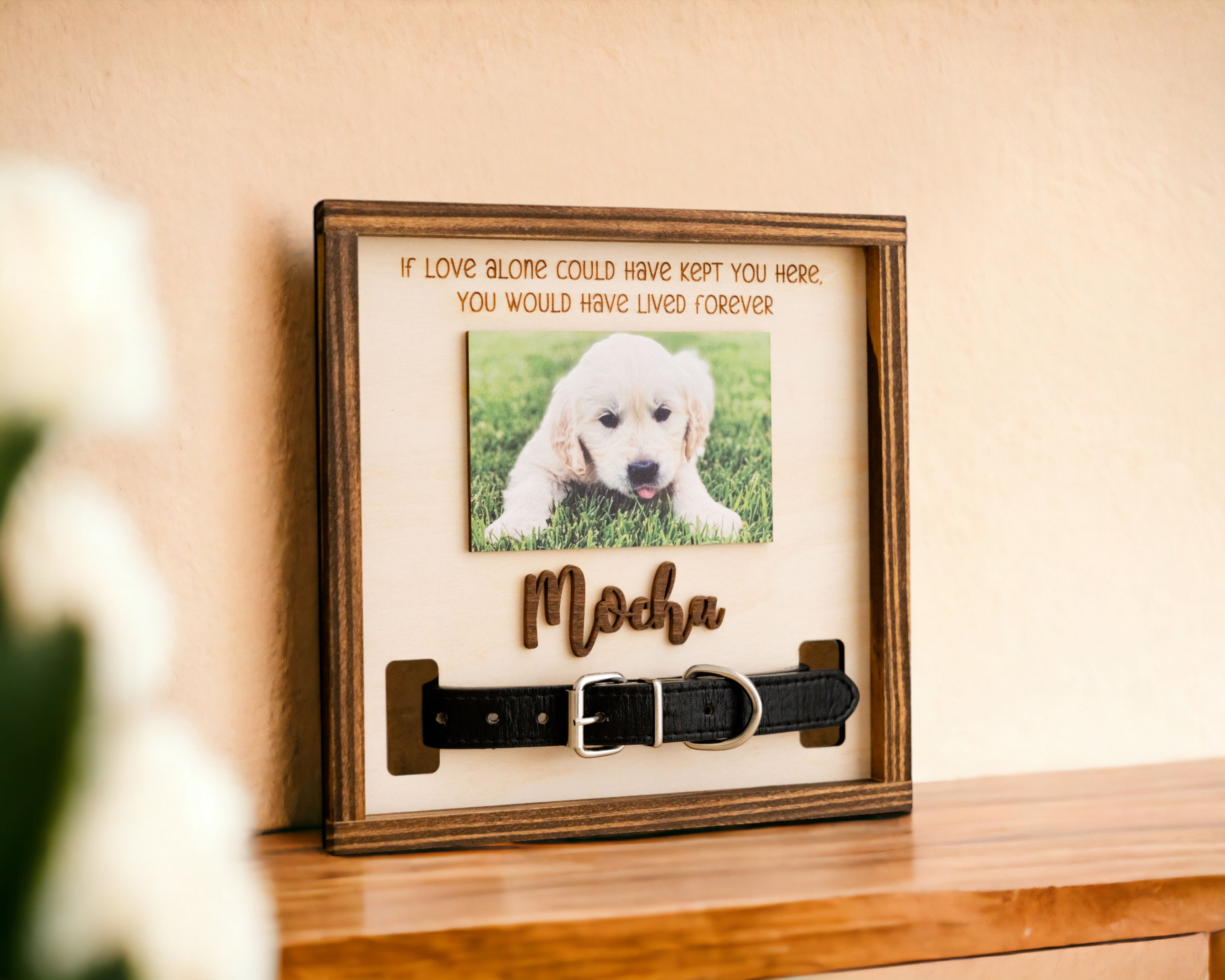 Boho and Rustic Pet Memorial Photo Sign for Heartfelt Home Decor R06
