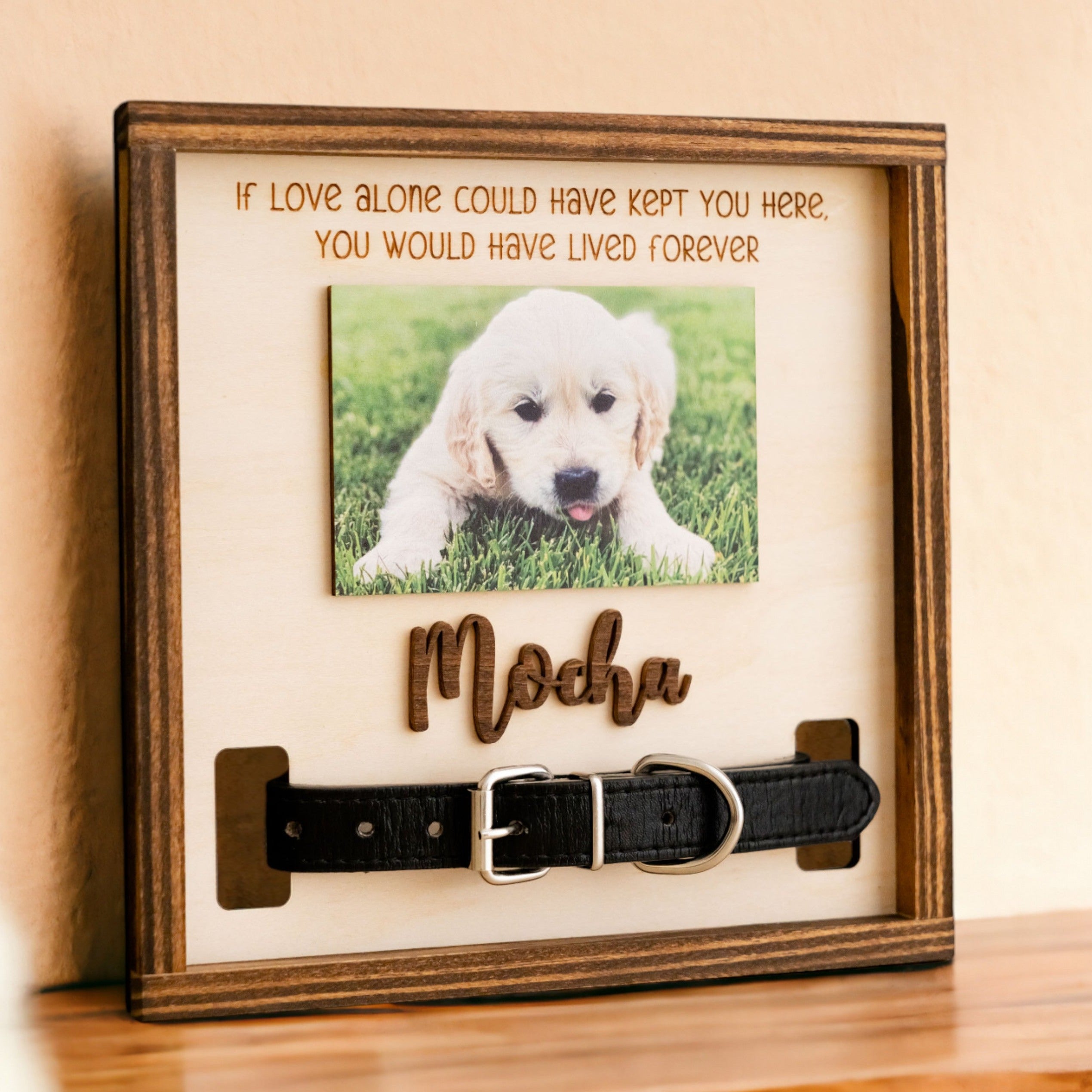 Boho and Rustic Pet Memorial Photo Sign for Heartfelt Home Decor