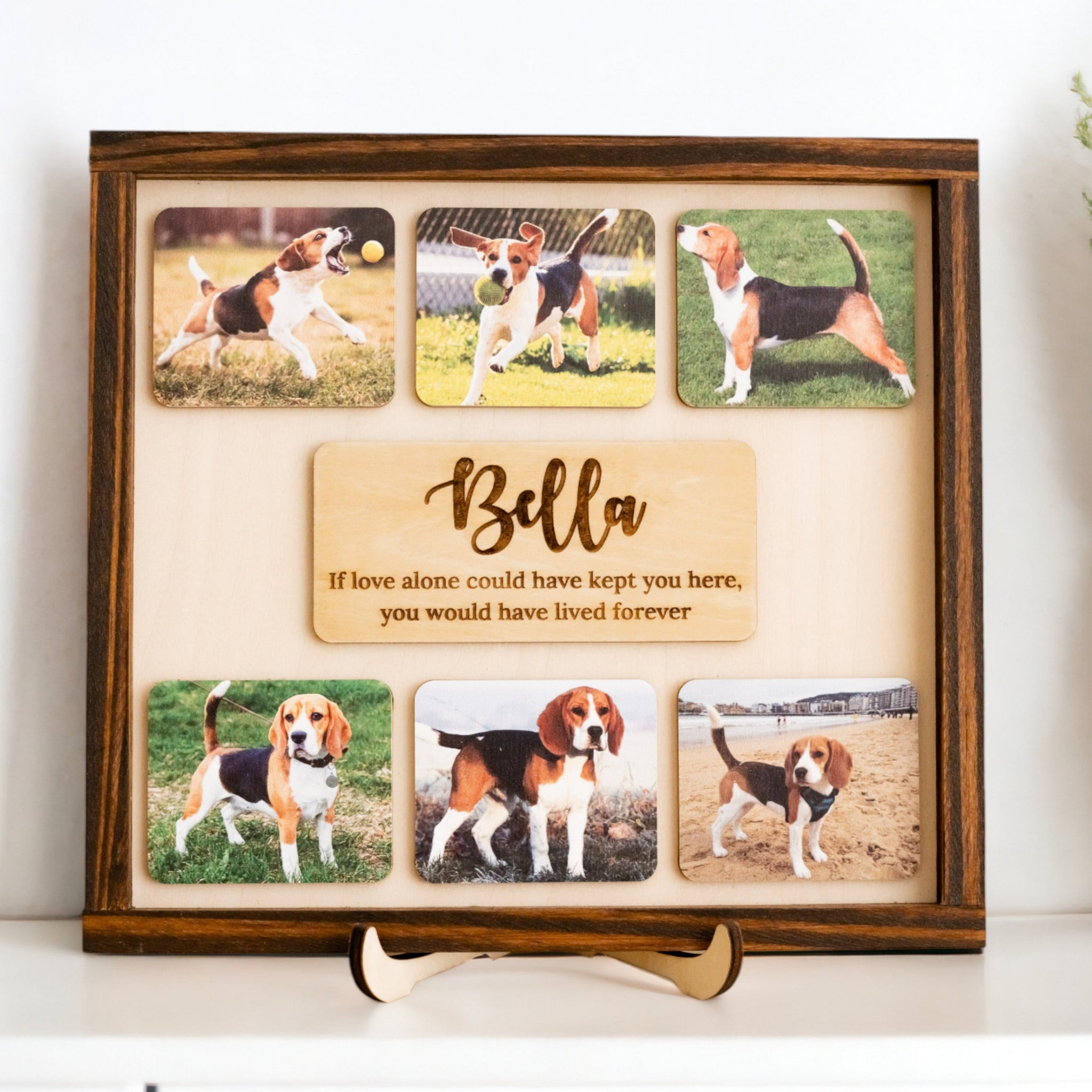 Rustic Pet Memorial Frame For Boho Minimalist Tribute