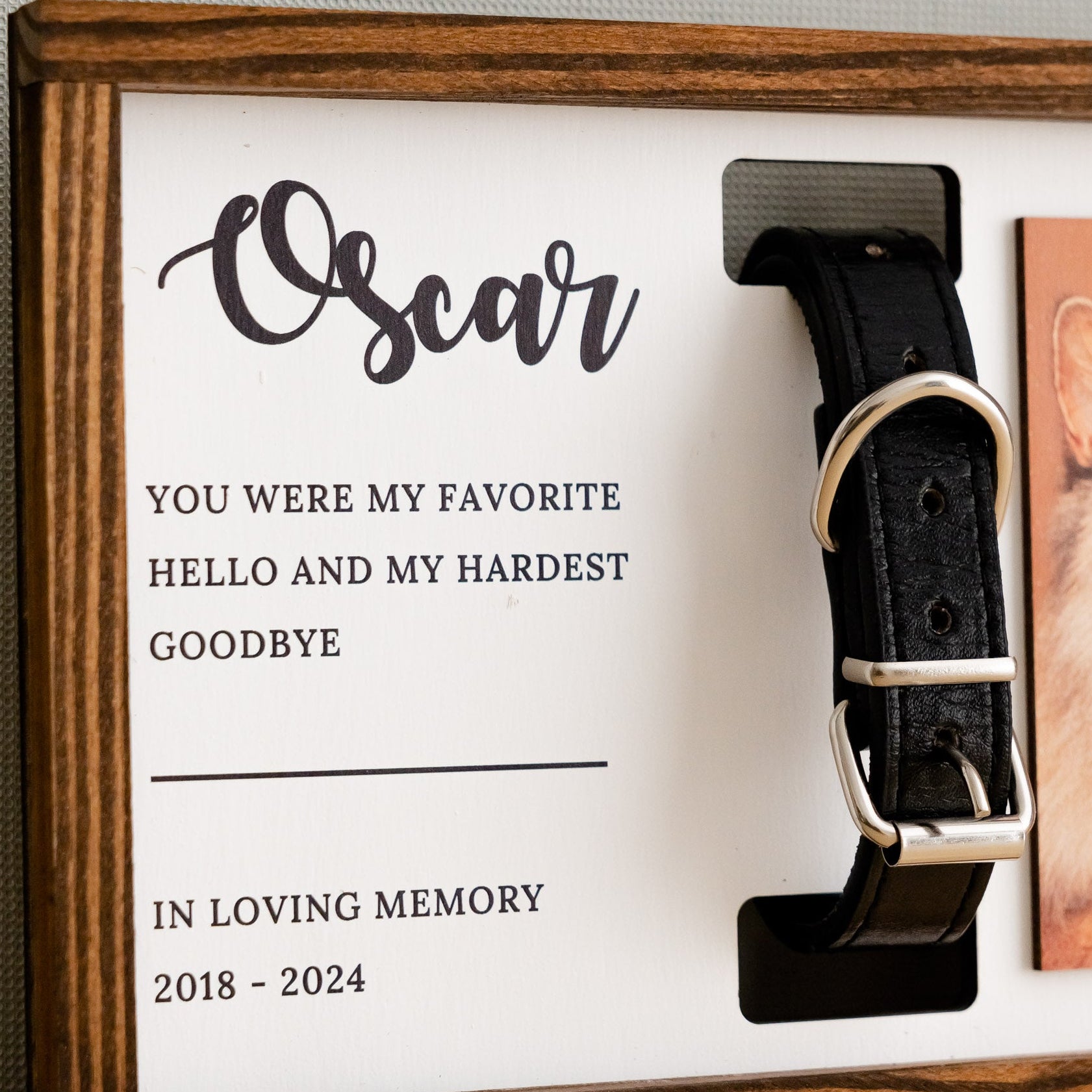 Personalized Pet Memorial Sign with Photo and Collar Charm for Home Decor E54