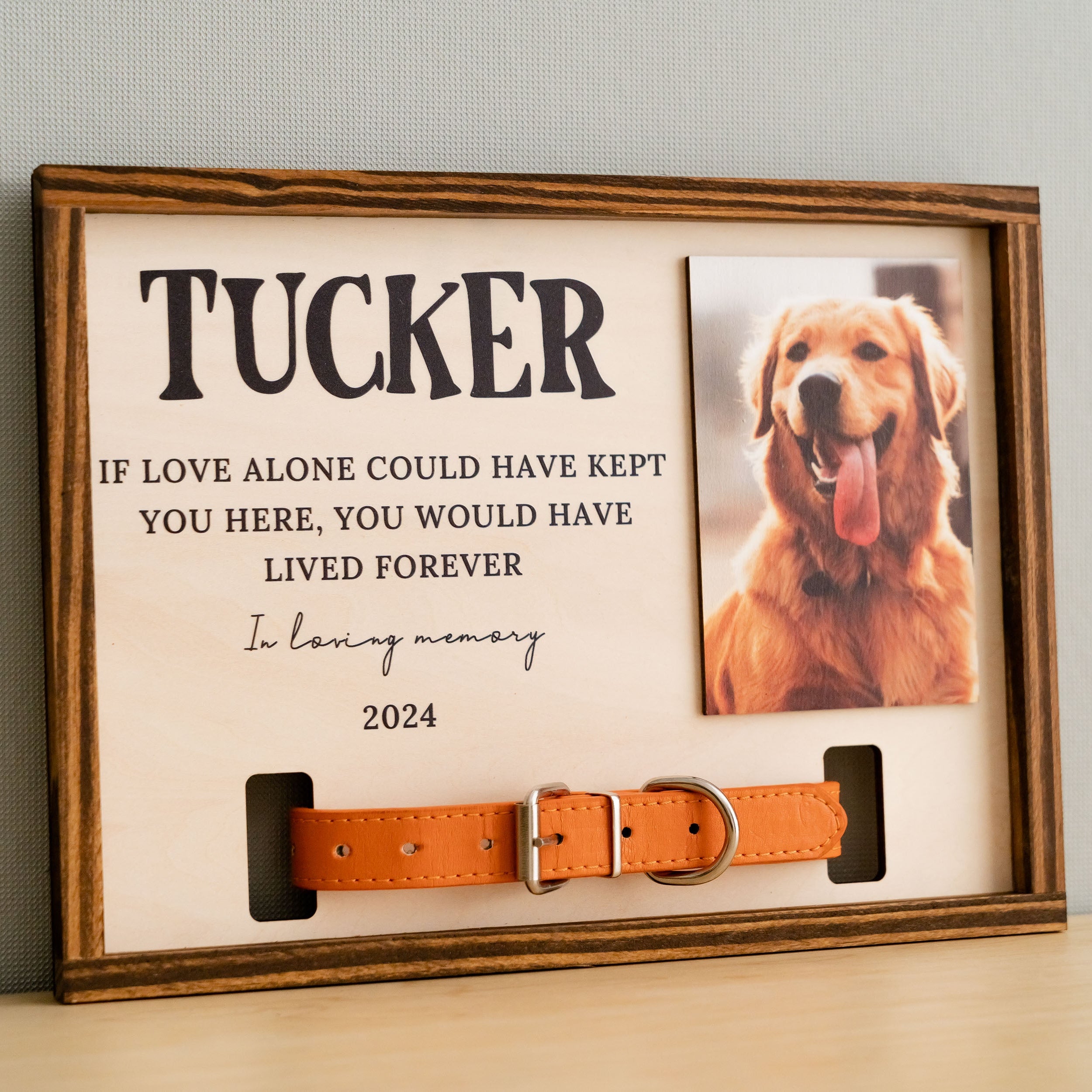Rustic Boho Pet Memorial Photo Frame for Heartfelt Home Decor E36