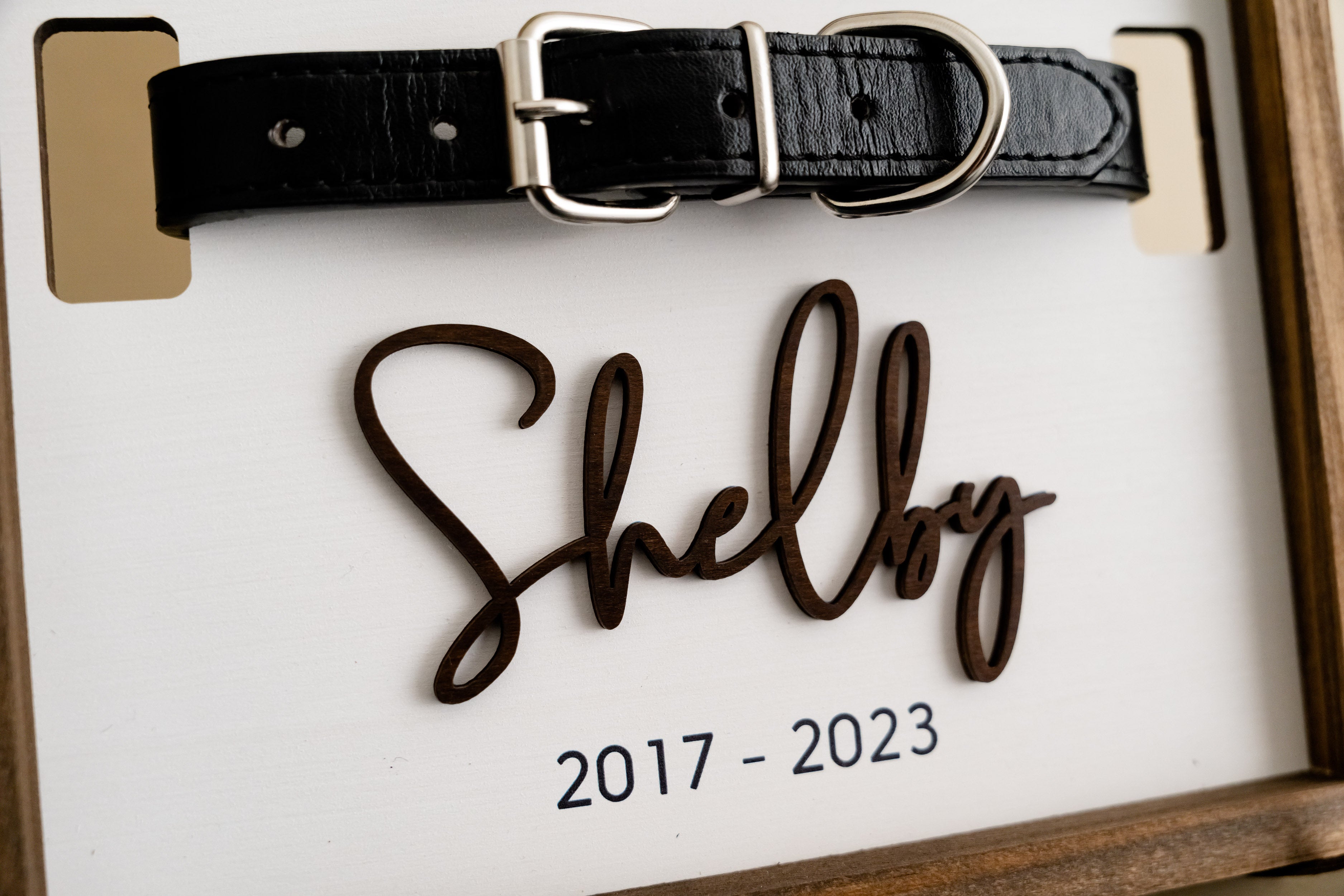 Boho Chic Pet Memorial Photo Sign for Stylish Home Decor E84