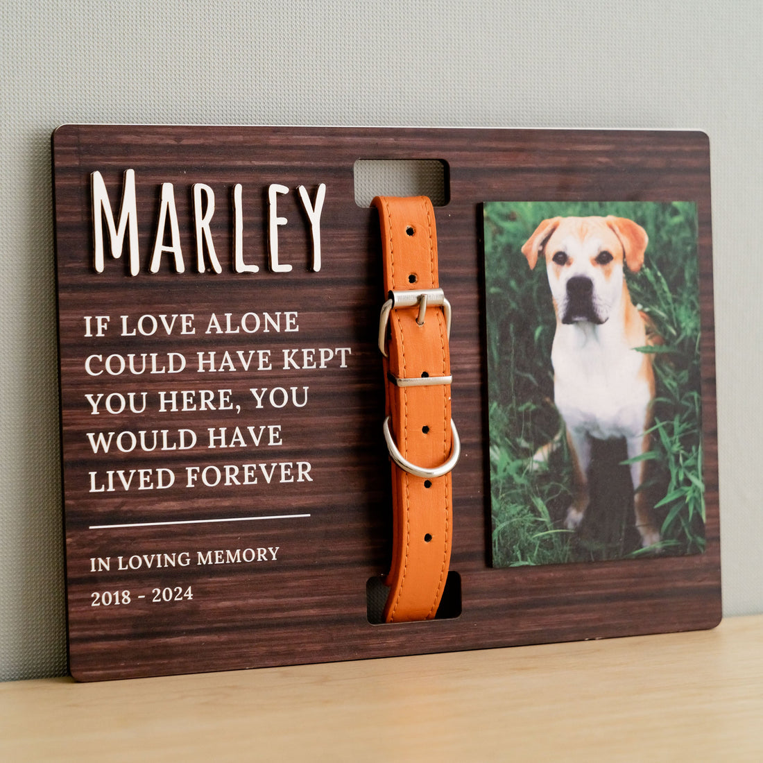 Boho Rustic Pet Memorial Photo Sign Heartfelt Tribute for Your Beloved Pet R05