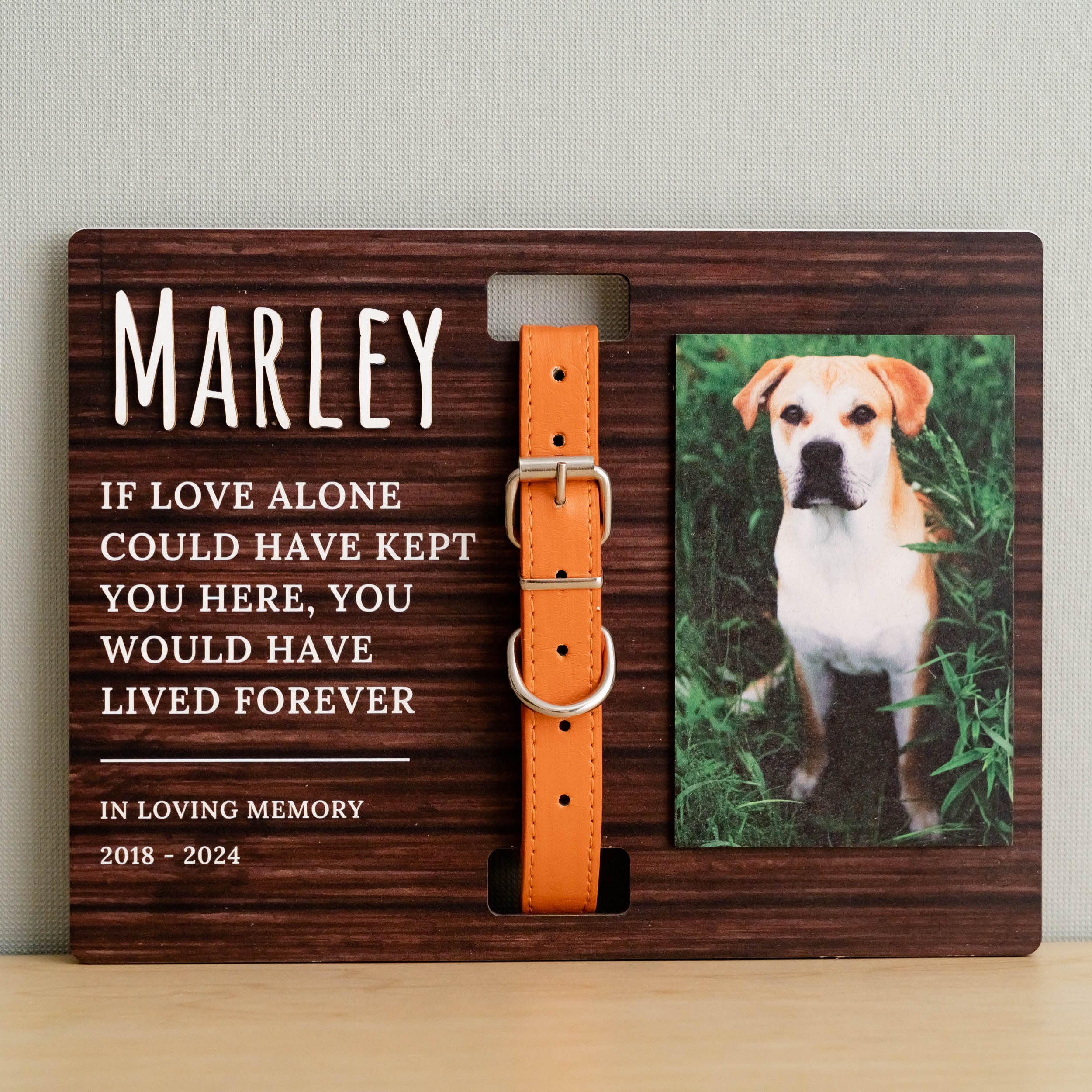Boho Rustic Pet Memorial Photo Sign Heartfelt Tribute for Your Beloved Pet R05