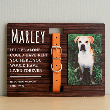 Boho Rustic Pet Memorial Photo Sign Heartfelt Tribute for Your Beloved Pet R05