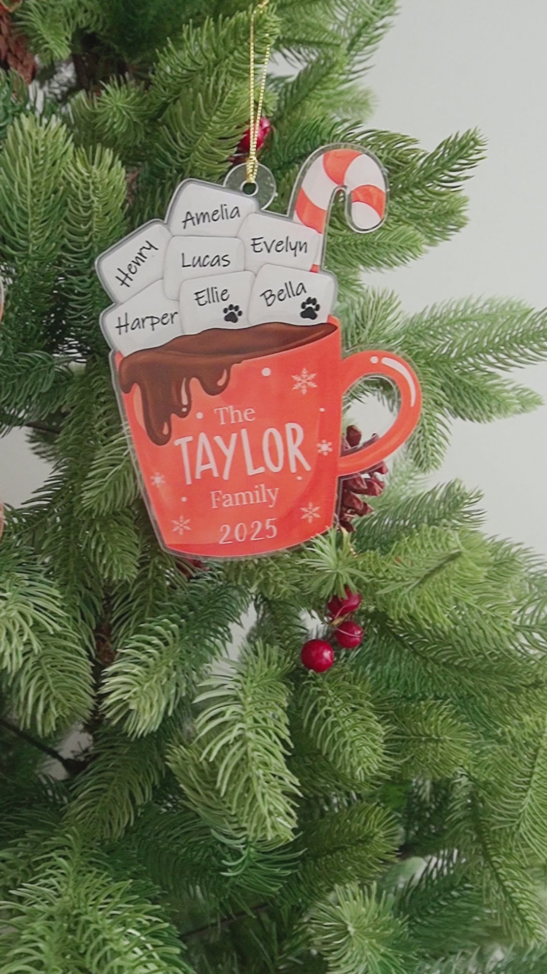 Personalized Family Hot Cocoa Ornament Acrylic Family Christmas Ornament and Custom Name Ornament D42