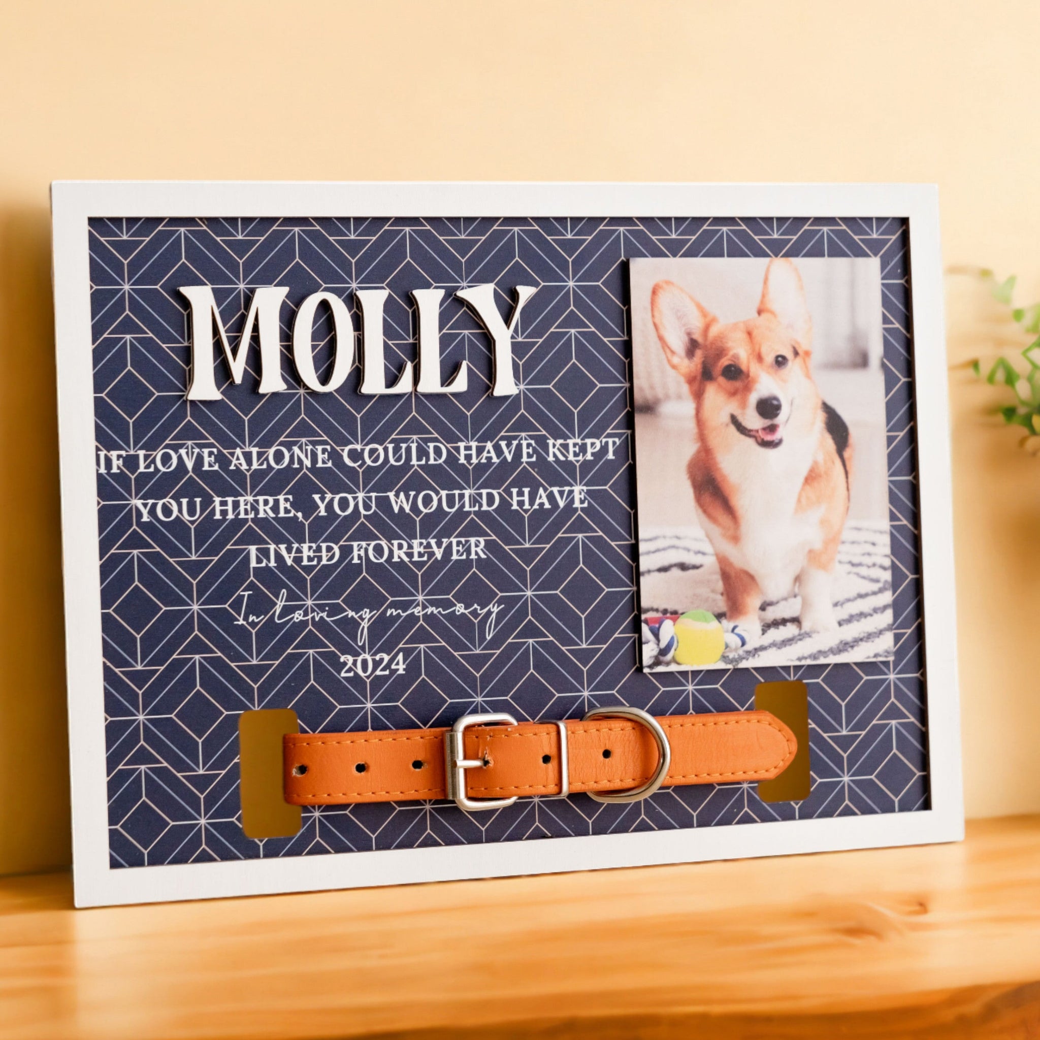 Boho Rustic Pet Memorial Photo Frame for Heartwarming Table Decor